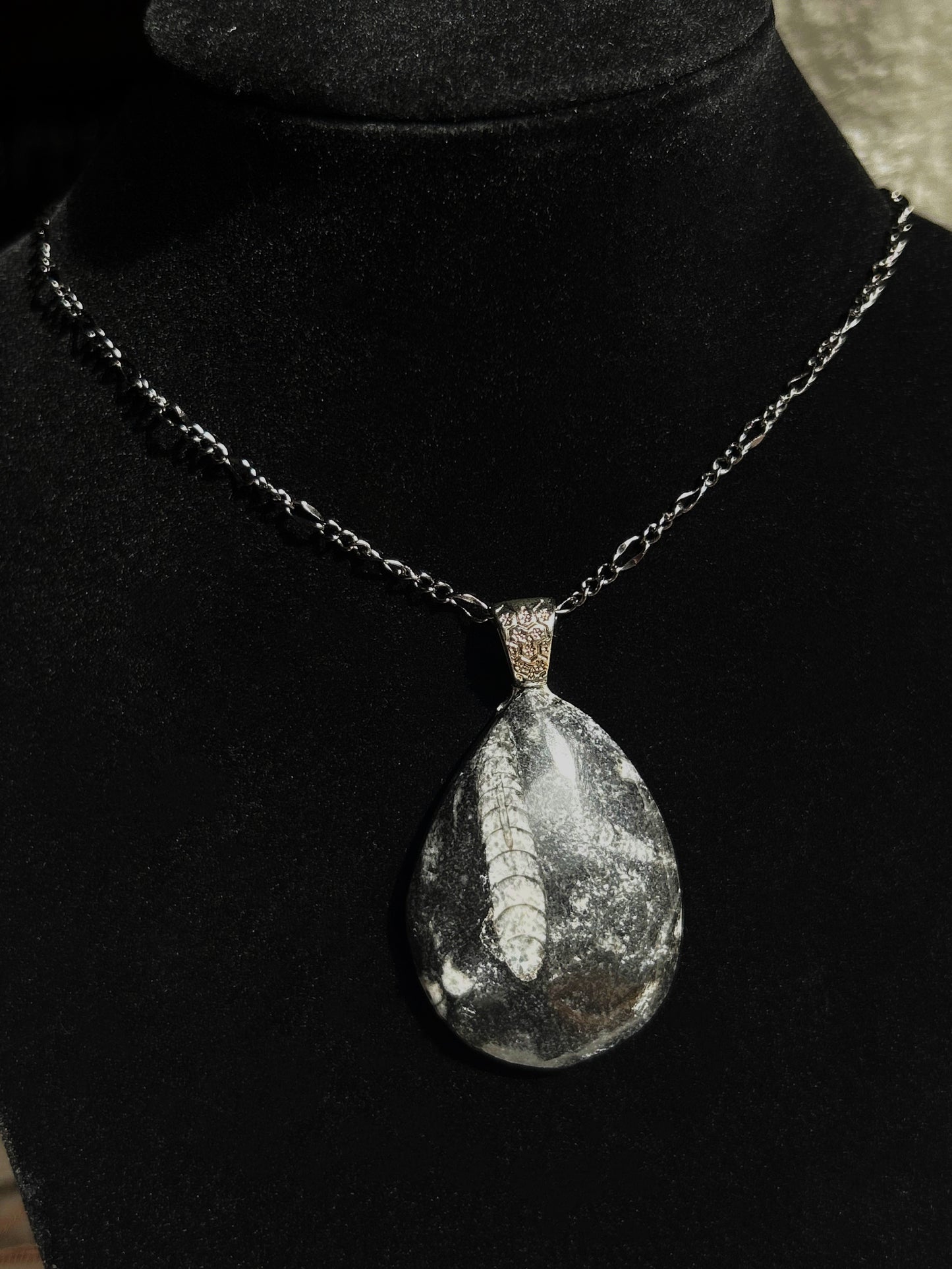Orthoceras fossil necklace